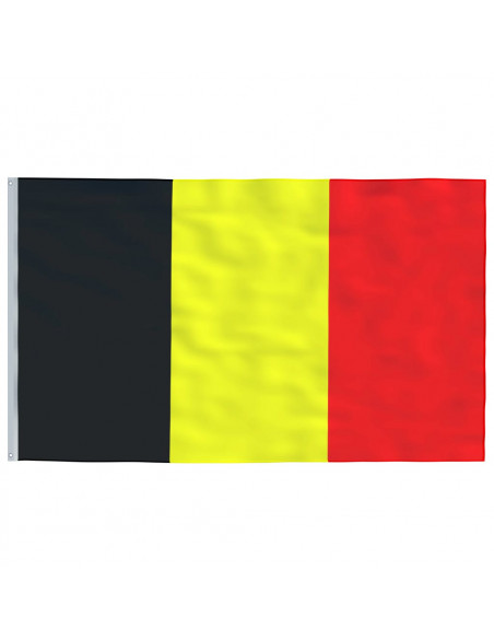 Asta e Bandiera Belgio 6,08 m Alluminio