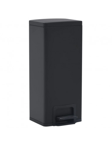 Pattumiera a Pedale Anti-Impronte 30 L Nera in Acciaio Inox