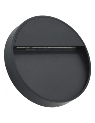 Lampade da Parete da Esterno a LED 2 pz 3 W Nere Rotonde