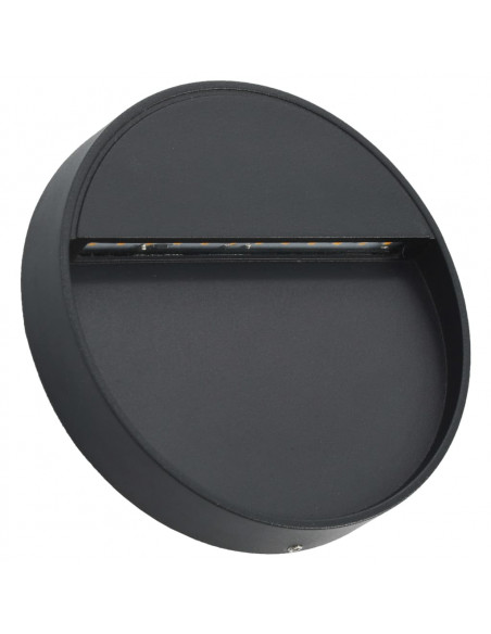 Lampade da Parete da Esterno a LED 2 pz 3 W Nere Rotonde