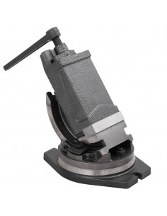 Morsa Inclinabile a 2 Assi 100 mm 2