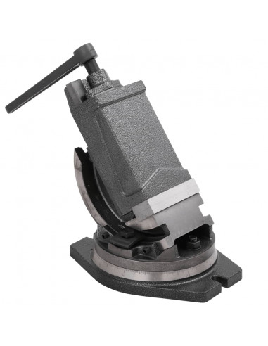 Morsa Inclinabile a 2 Assi 100 mm