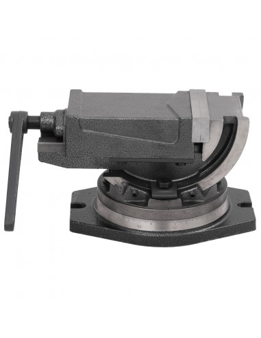 Morsa Inclinabile a 2 Assi 100 mm