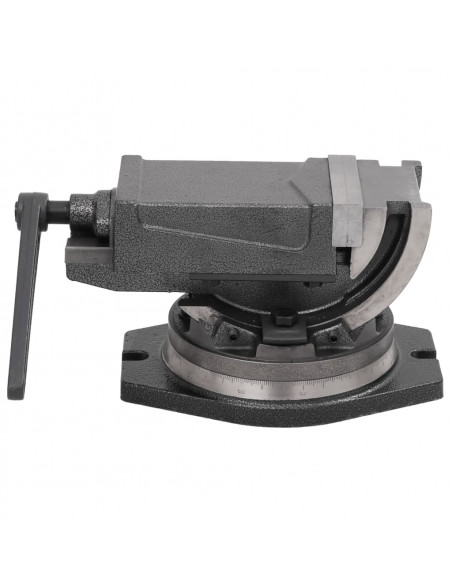 Morsa Inclinabile a 2 Assi 100 mm