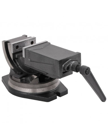 Morsa Inclinabile a 2 Assi 100 mm