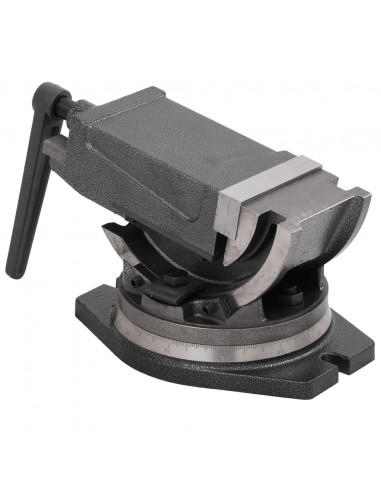 Morsa Inclinabile a 2 Assi 100 mm