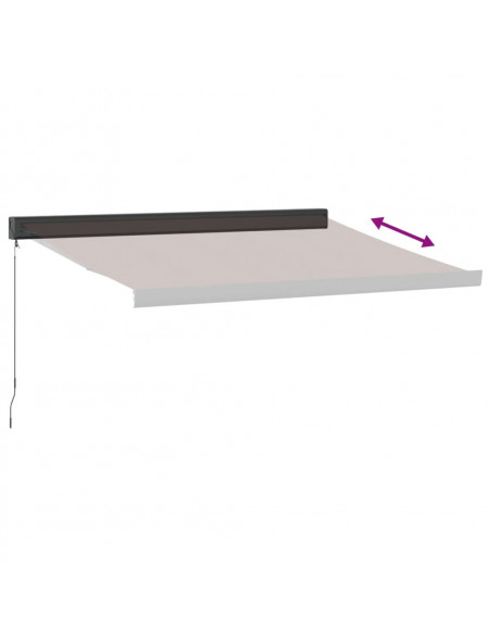 Tenda Sole Retrattile Manuale 300x250 cm Marrone