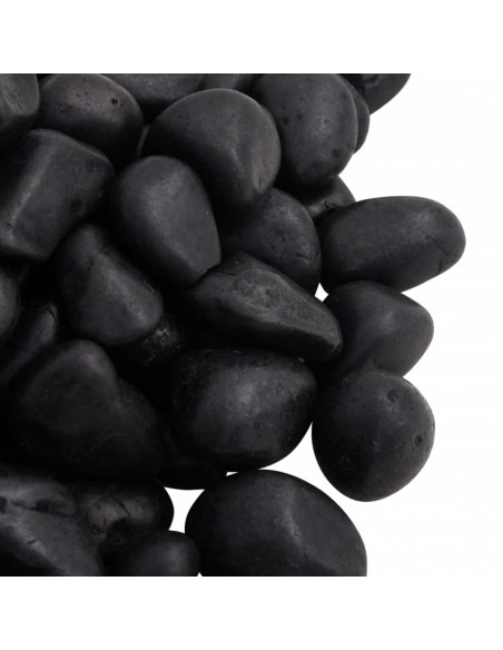 Ciottoli Levigati 10 kg Neri 2-5 cm