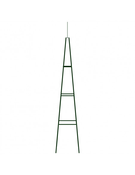 Supporti per Piante 2 pz Verde Scuro 35x35x195 cm in Ferro