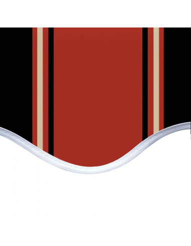 Tenda da Sole in Tela Arancione e Marrone 350x250 cm