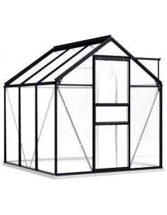 Serra con Telaio Base Antracite 3,61 m² in Alluminio 2