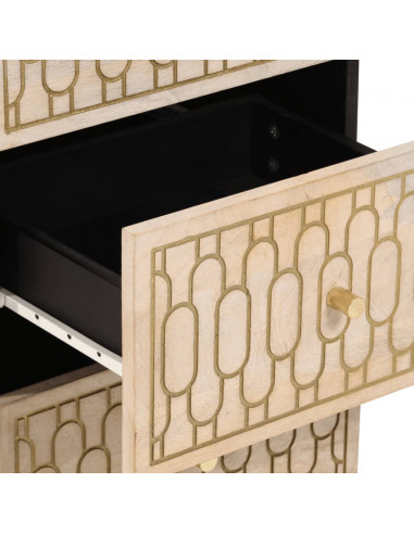 Credenza 40x33x75 cm in Legno Massello di Mango