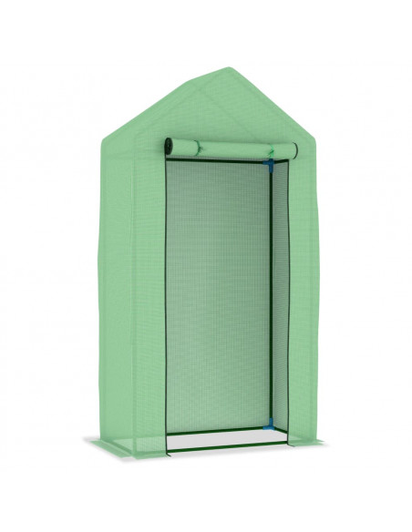 Serra con Struttura in Acciaio 0,5 m² 1x0,5x1,9 m