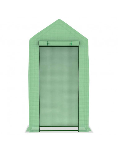 Serra con Struttura in Acciaio 0,5 m² 1x0,5x1,9 m