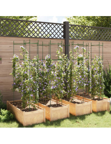 Sostegni per Pomodori 8pz 154 cm in Acciaio e PP