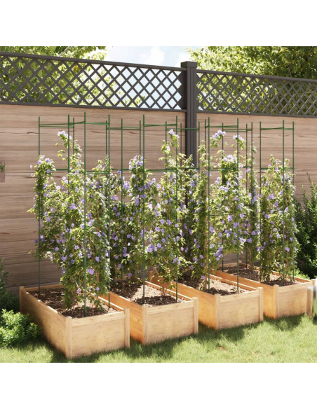 Sostegni per Pomodori 8pz 154 cm in Acciaio e PP