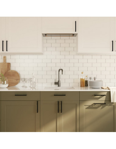 Maniglie per Mobili 20 pz Nere 160 mm in Acciaio Inox