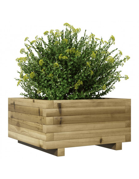 Fioriera da Giardino 50x50x26,5 cm in Legno di Pino Impregnato
