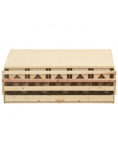Casetta Cova per Galline 5 Scomparti 117x33x54 cm Legno di Pino