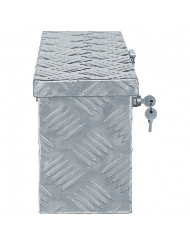 Cassetta in Alluminio 48,5x14x20 cm Argento