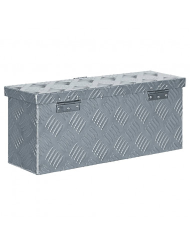 Cassetta in Alluminio 48,5x14x20 cm Argento