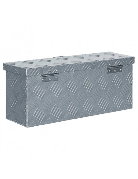 Cassetta in Alluminio 48,5x14x20 cm Argento