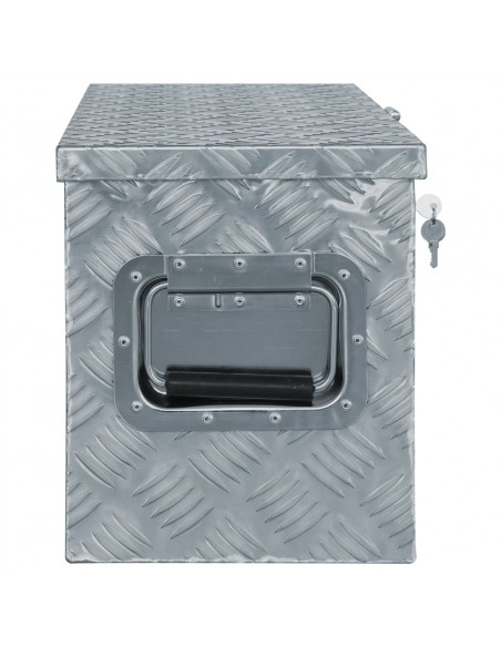 Cassetta in Alluminio 76,5x26,5x33 cm Argento