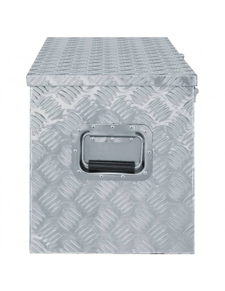 Cassetta in Alluminio 110,5x38,5x40cm Argento