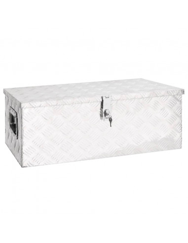 Contenitore Portaoggetti Argento 80x39x30 cm in Alluminio