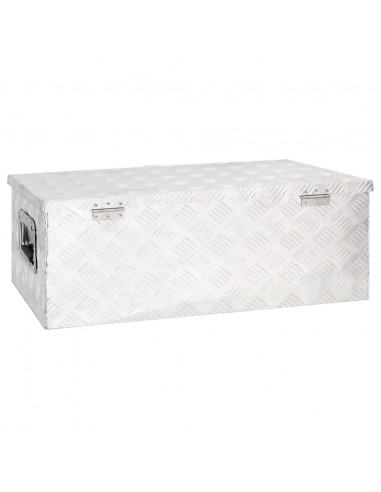 Contenitore Portaoggetti Argento 80x39x30 cm in Alluminio