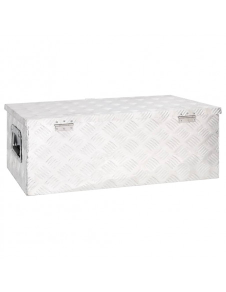 Contenitore Portaoggetti Argento 80x39x30 cm in Alluminio