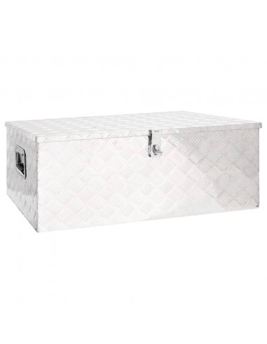 Contenitore Portaoggetti Argento 100x55x37 cm in Alluminio