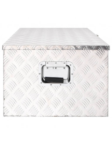 Contenitore Portaoggetti Argento 100x55x37 cm in Alluminio