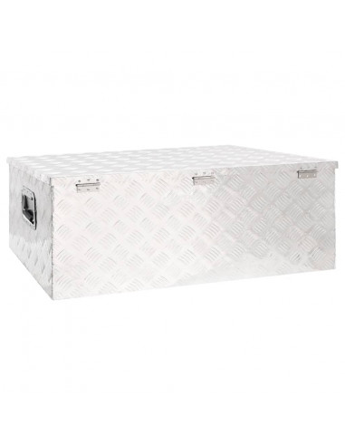 Contenitore Portaoggetti Argento 100x55x37 cm in Alluminio