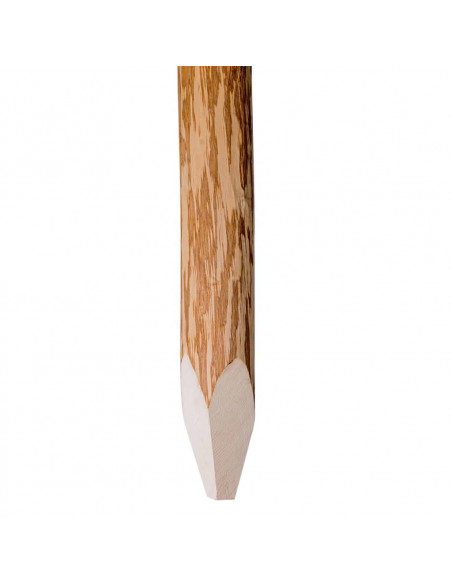 Paletti di Recinzione a Punta 4 pz Legno Nocciolo 90 cm