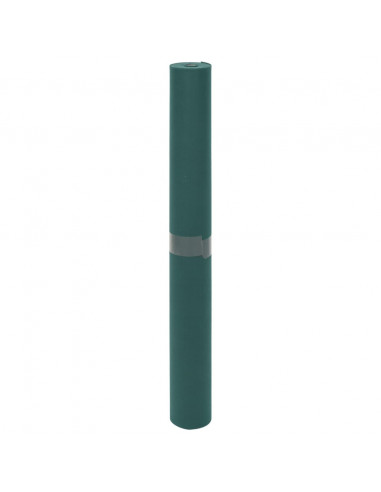 Copertura per Piante 2 Rotoli 70 g/m² 10x1,6 m