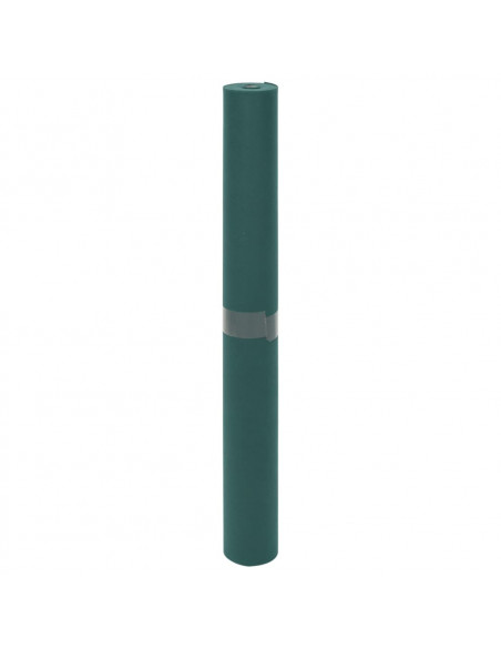 Copertura per Piante 2 Rotoli 70 g/m² 10x1,6 m