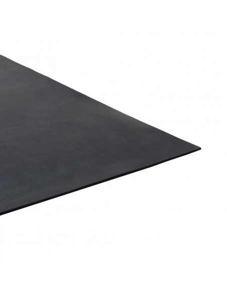 Tappetino Antiscivolo in Gomma 1,2x2 m 1 mm Liscio
