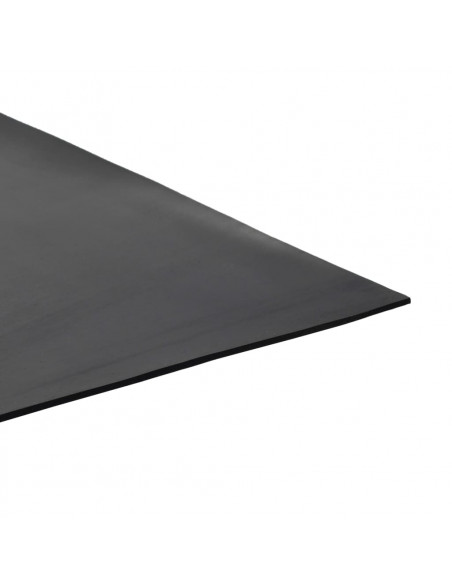 Tappetino Antiscivolo in Gomma 1,2x2 m 2 mm Liscio