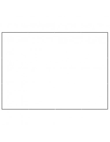 Gabbia per Cani Nera 12 m² in Acciaio