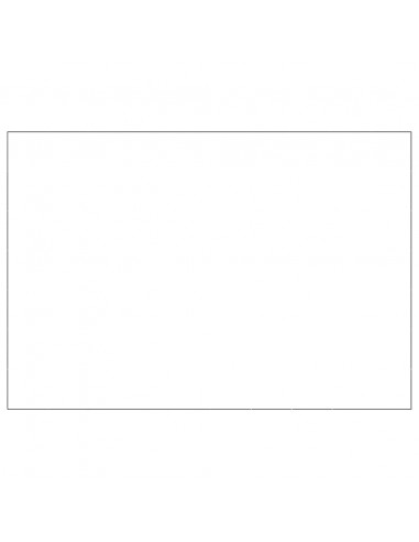 Gabbia per Cani Nera 70 m² in Acciaio