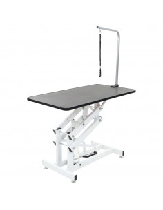 Tavolo di Toelettatura Idraulico per Cani Gatti Regolabile 2