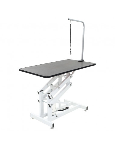 Tavolo di Toelettatura Idraulico per Cani Gatti Regolabile