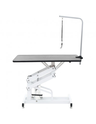 Tavolo di Toelettatura Idraulico per Cani Gatti Regolabile