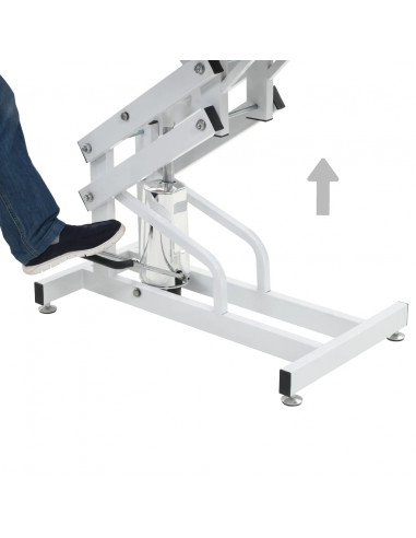 Tavolo di Toelettatura Idraulico per Cani Gatti Regolabile