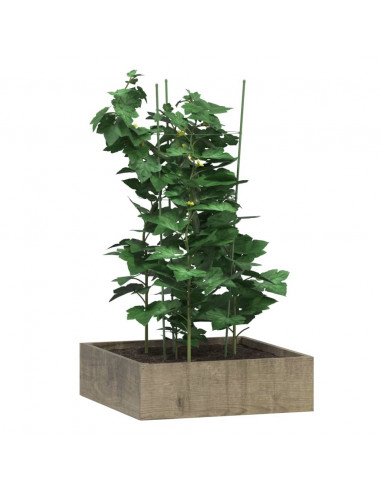 Supporti Piante da Giardino con 3 Anelli 5pz Verde 75cm Acciaio