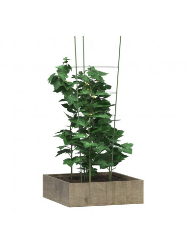 Supporti Piante da Giardino con 4 Anelli 5pz Verde 90cm Acciaio