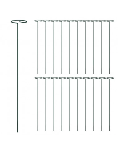 Supporti per Piante da Giardino 20 pz Verde Scuro 40 cm Acciaio