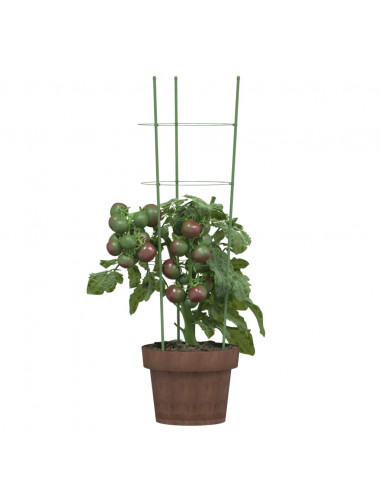 Supporti Piante da Giardino con 3 Anelli 5pz Verde 60cm Acciaio