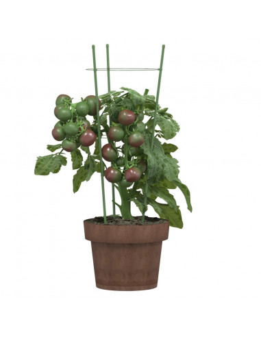 Supporti Piante da Giardino con 3 Anelli 5pz Verde 45cm Acciaio
